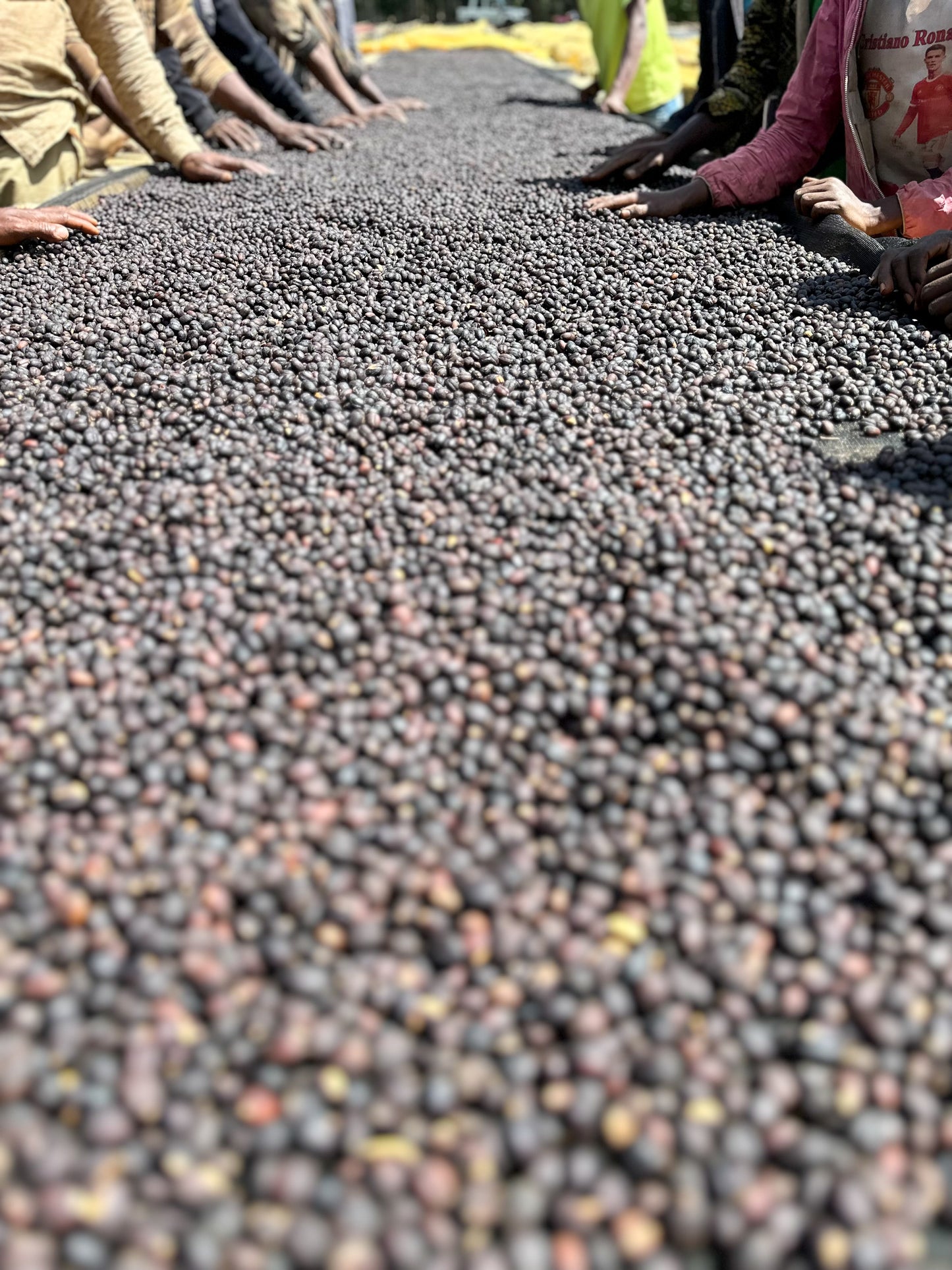 Ethiopia Nguisse Nare