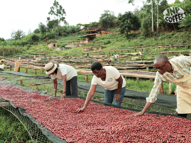 Burundi Ntwari Natural