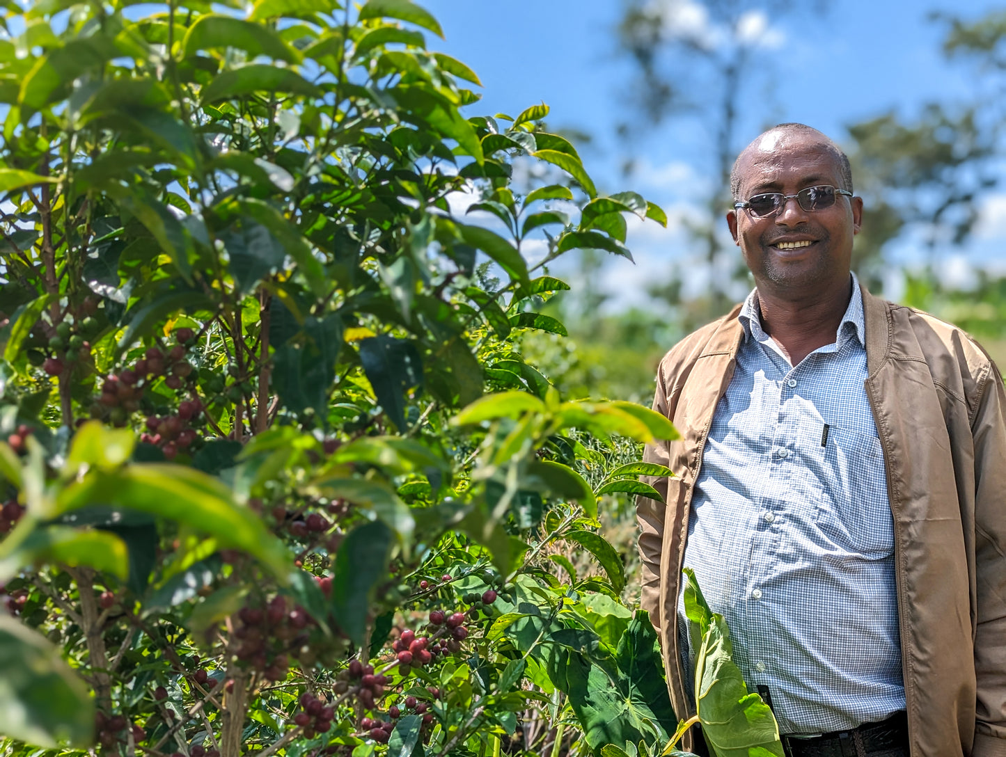 Ethiopia Nguisse Nare