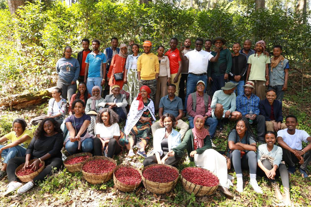 Ethiopia Kayon Mountain Natural